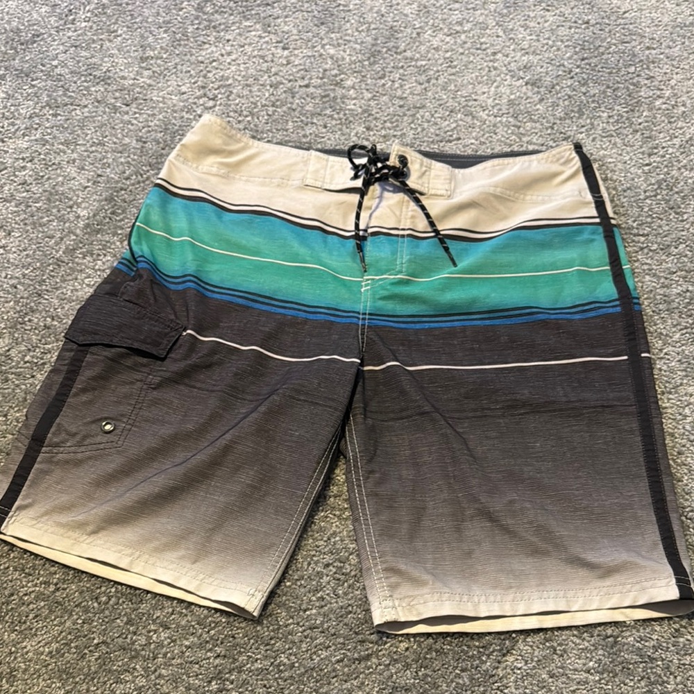 Men's Multicolor Swim Shorts